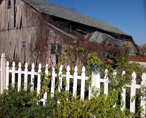 copyright-janet-webb