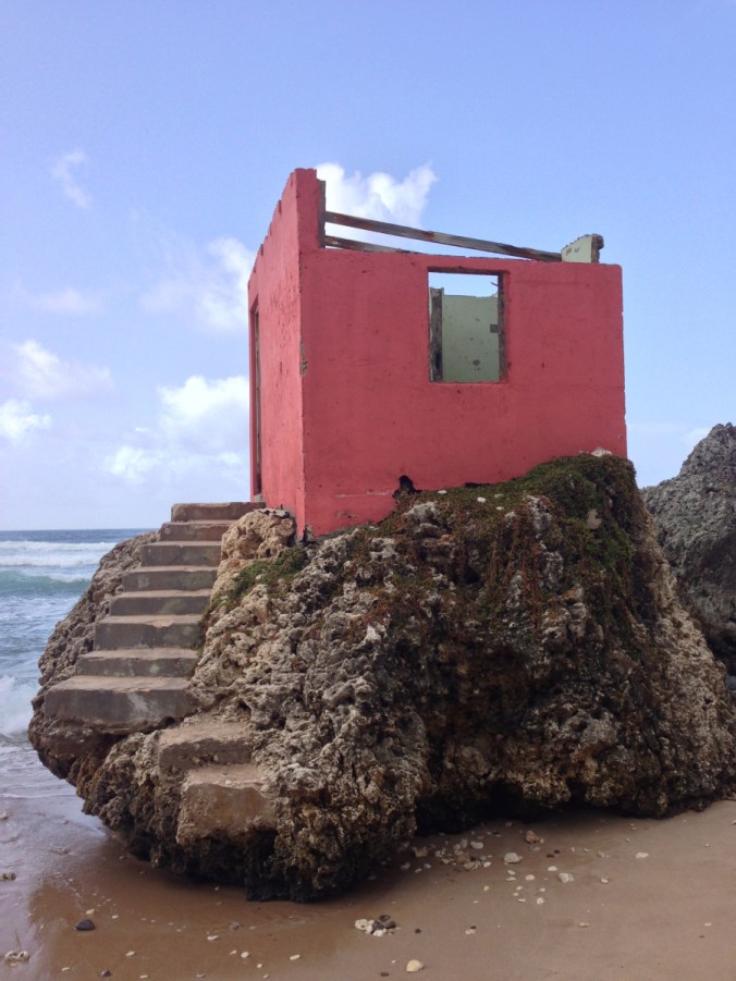 Copyright Dawn Q Landau