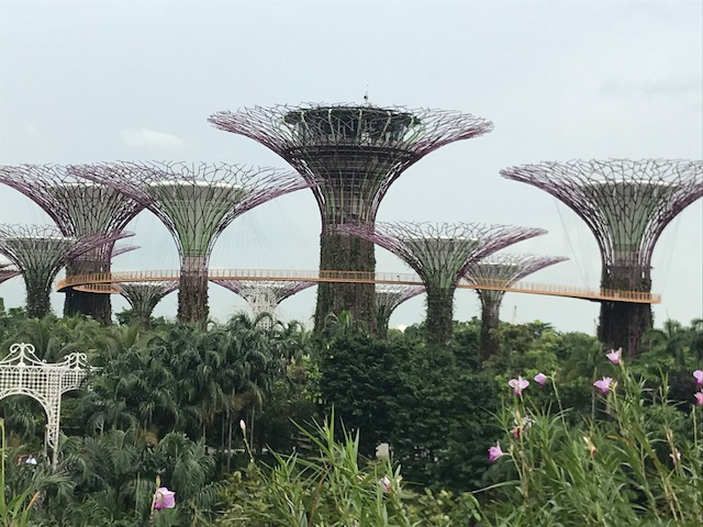 Garden in the Bay